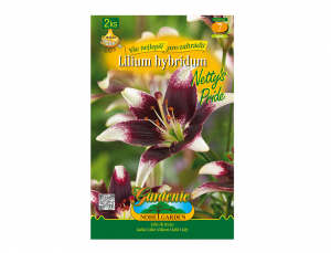 Lilie, asijské hybridy NETTYS PRIDE 2ks
